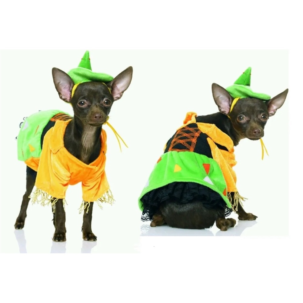 Leg Avenue 2pc Scarecrow Costume size Small